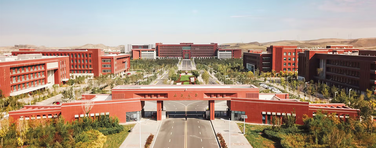 新疆大學